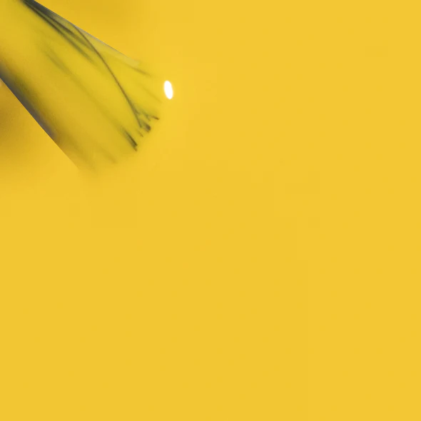 Colorbar Vegan Nail Lacquer - Image 199