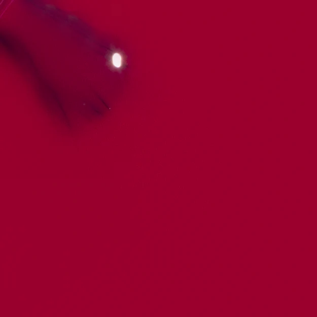 Colorbar Vegan Nail Lacquer - Image 134