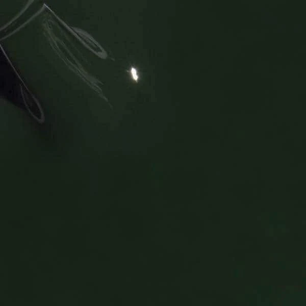 Colorbar Vegan Nail Lacquer - Image 4