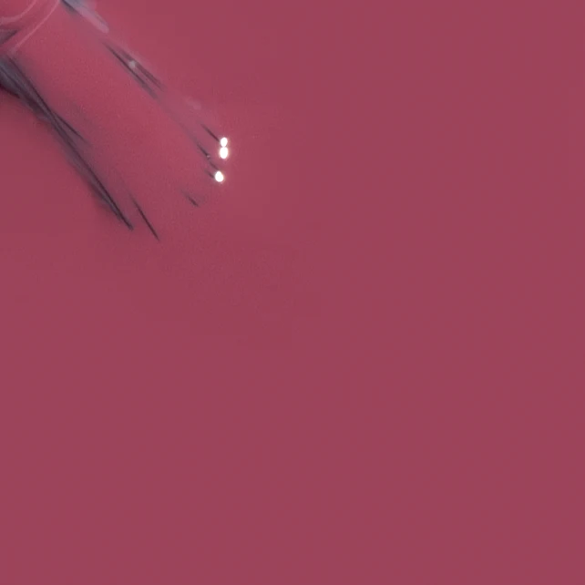 Colorbar Vegan Nail Lacquer - Image 97