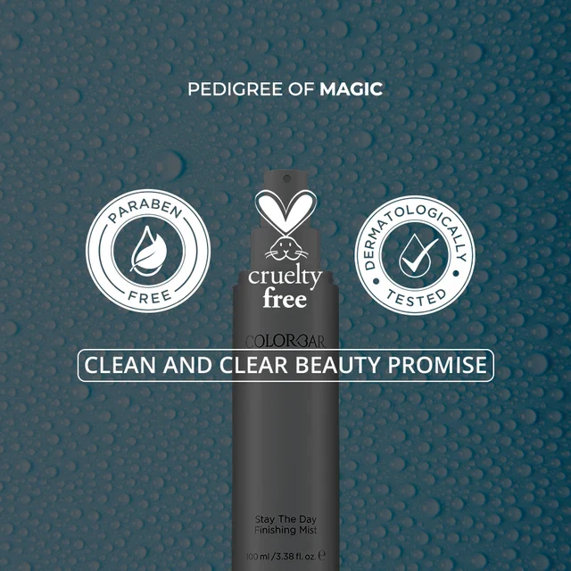 Stay The Day Finishing Mist - Image 6